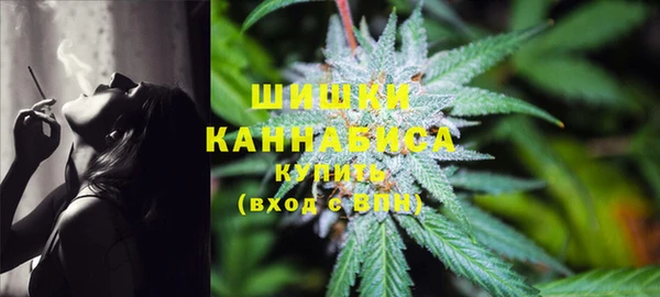 ПСИЛОЦИБИНОВЫЕ ГРИБЫ Богородицк