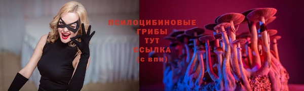 наркотики Бородино