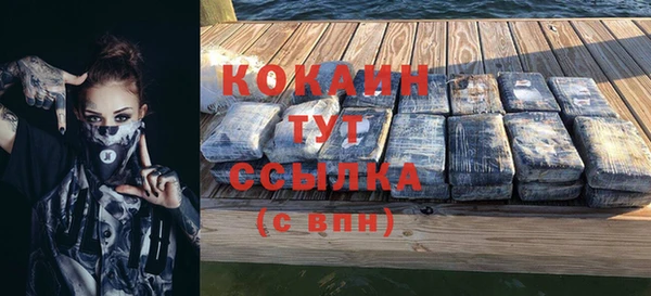 ПСИЛОЦИБИНОВЫЕ ГРИБЫ Богородицк