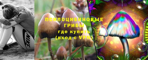 крисы Богородск