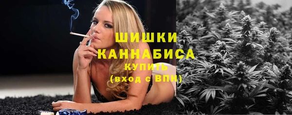 крисы Богородск